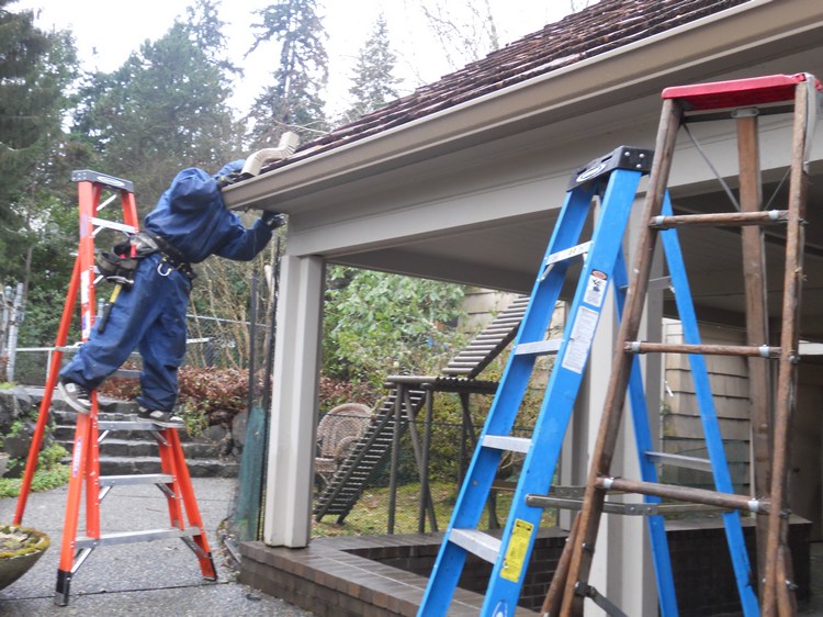 Reasonable Camano Island Gutter Repair in WA near 98282